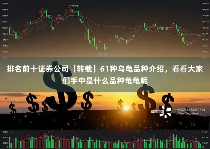 排名前十证券公司【转载】61种乌龟品种介绍，看看大家们手中是什么品种龟龟呢