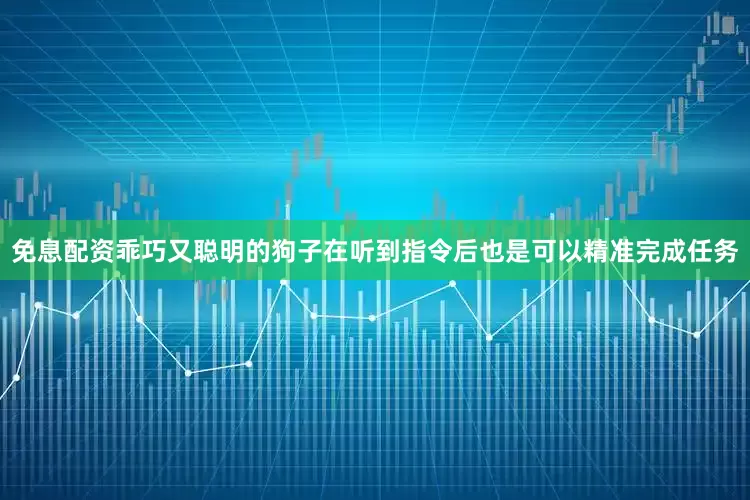 免息配资乖巧又聪明的狗子在听到指令后也是可以精准完成任务