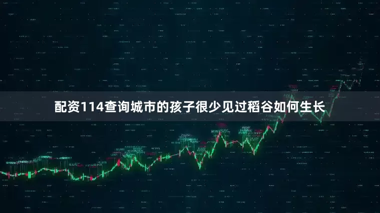 配资114查询城市的孩子很少见过稻谷如何生长